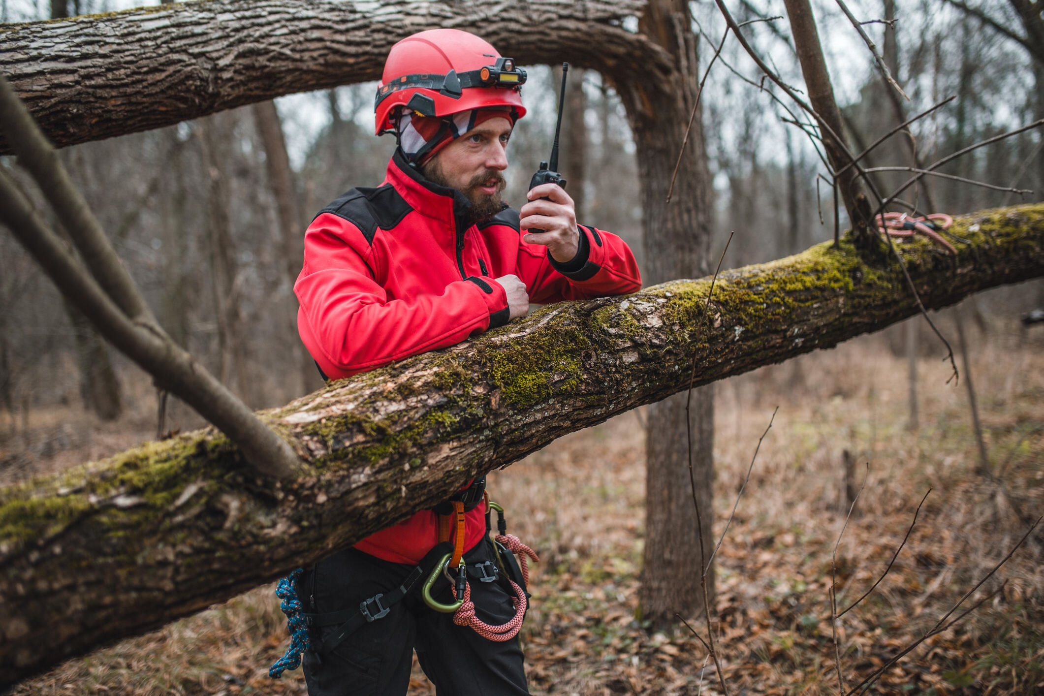 Walkie Talkie Frequency Malaysia